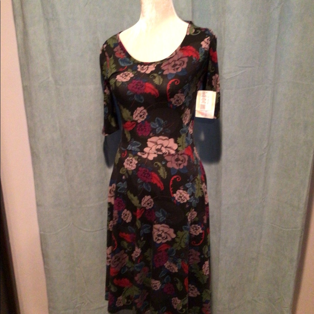 NWT LuLaRoe Nicole Dress
